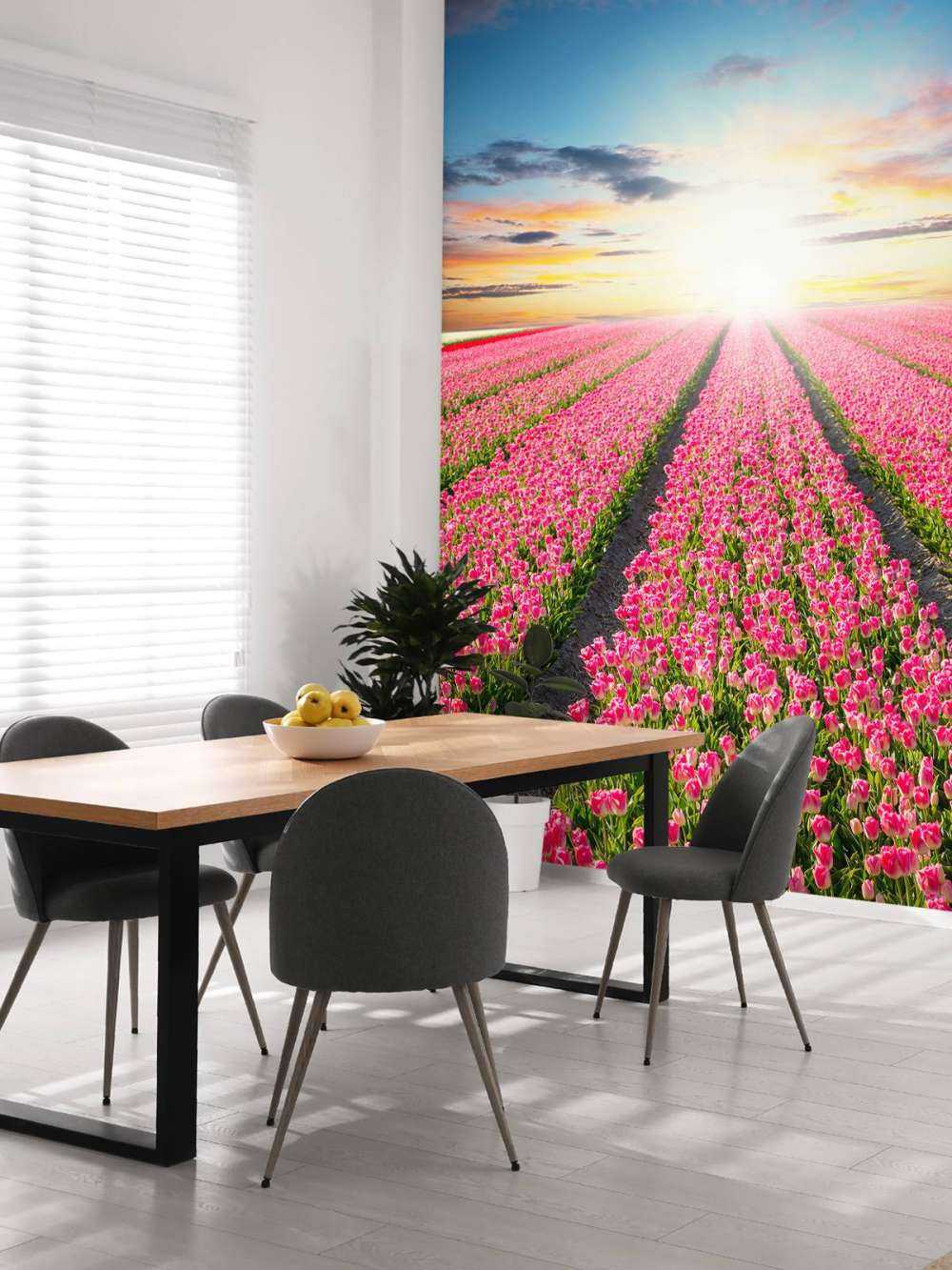 tulipanner med stigende sol