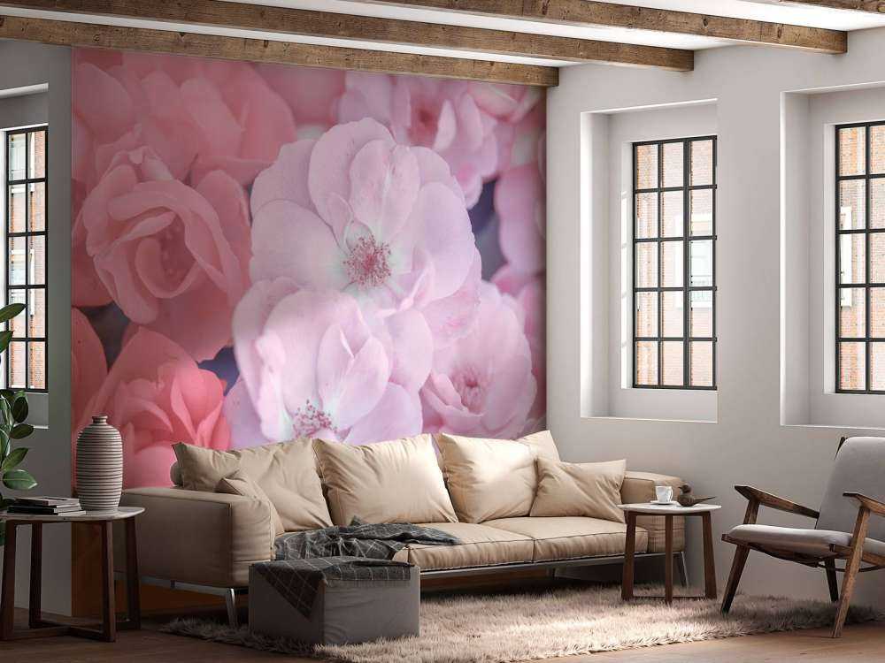 Blomster Arter Rosa Fargede Blomster