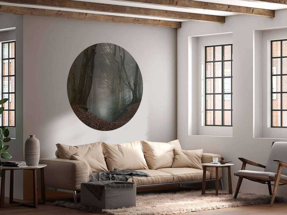 Vei gjennom mystisk skog