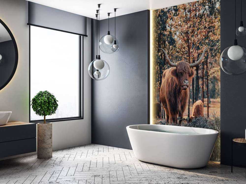 Skotsk høylander i utkanten av skogen