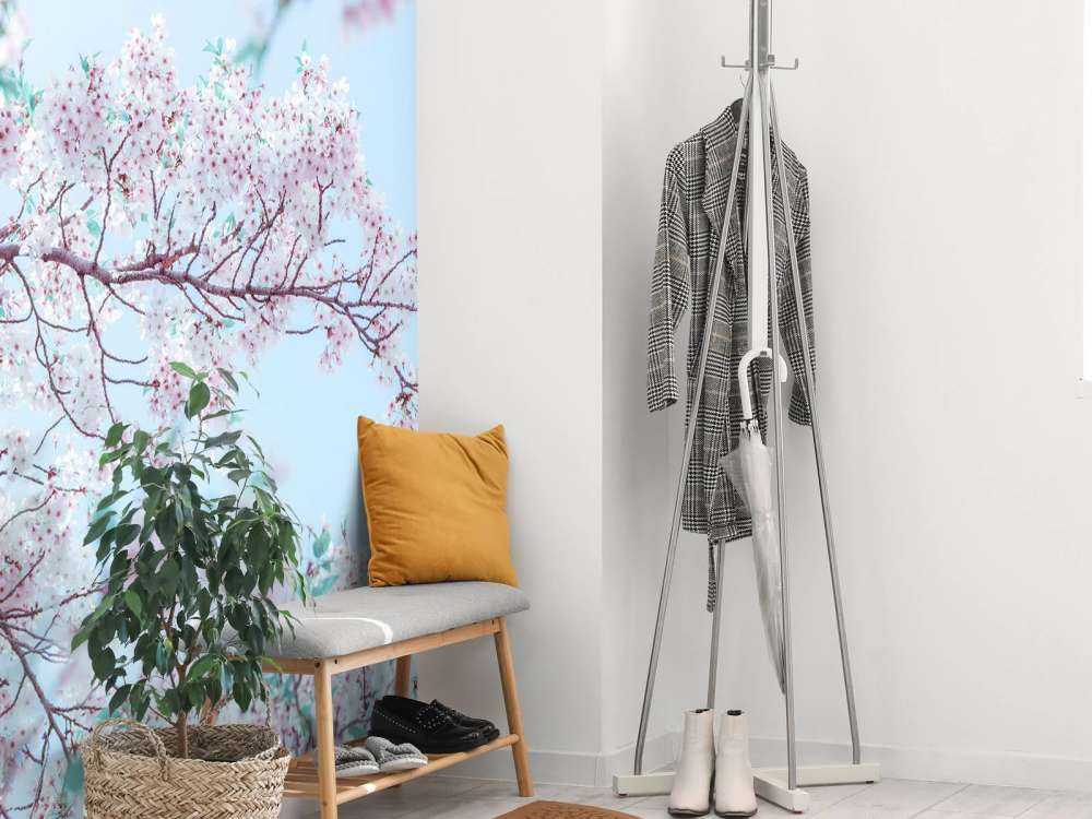 Sesambrød Nærbilde Hvitløkspalmer med blå himmel Palmetrær om sommeren Søt godteri