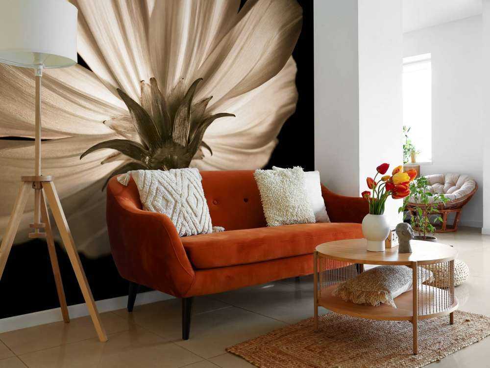 Kosmosblomst nedenfra