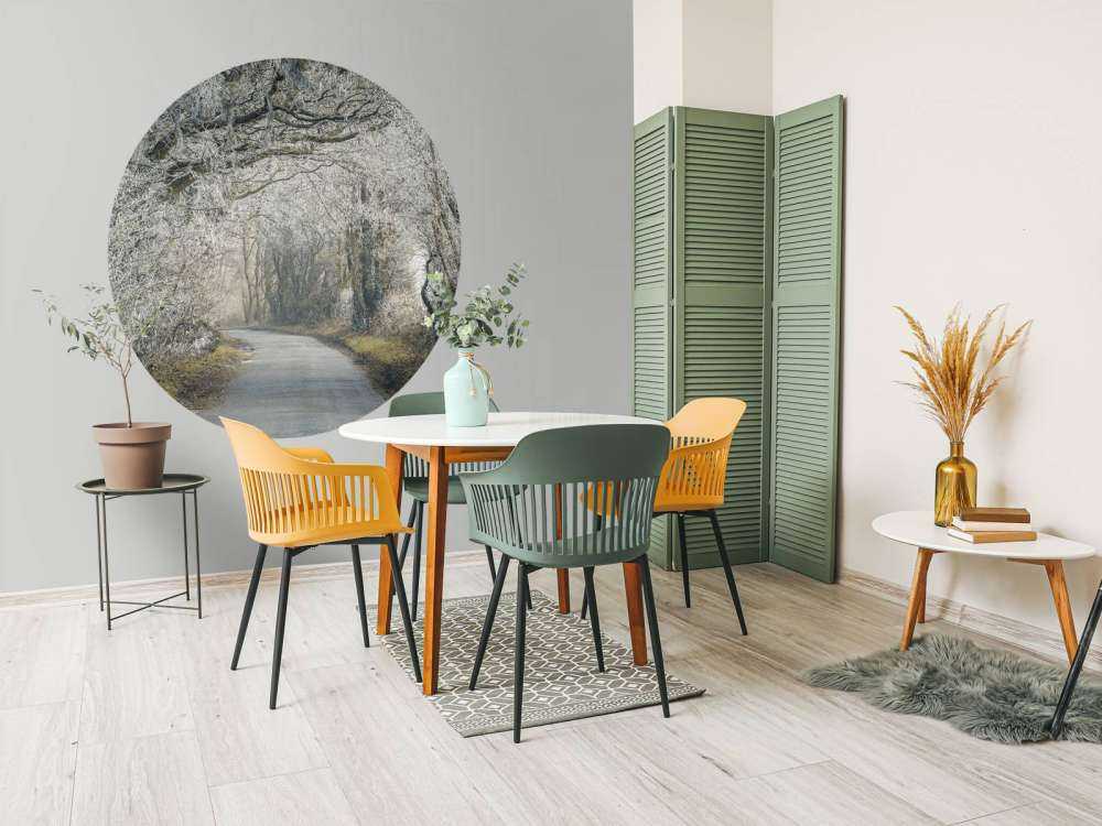 Frosset vei gjennom skog