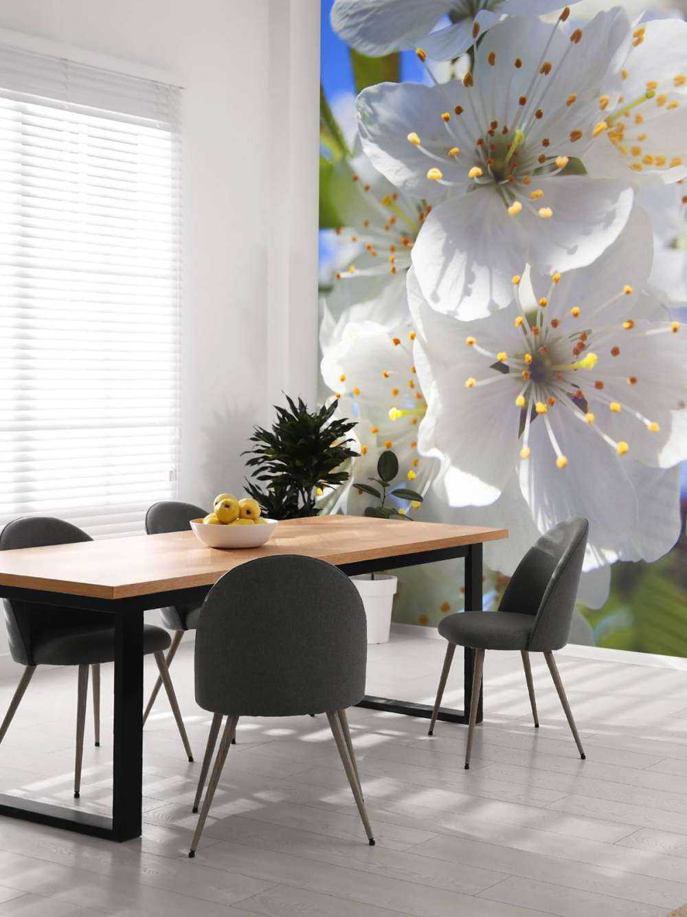 Nærbilde hvite blomster