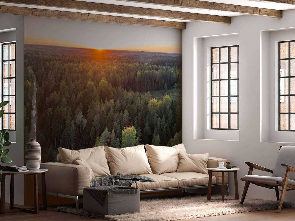 Luftfoto av høsttrær