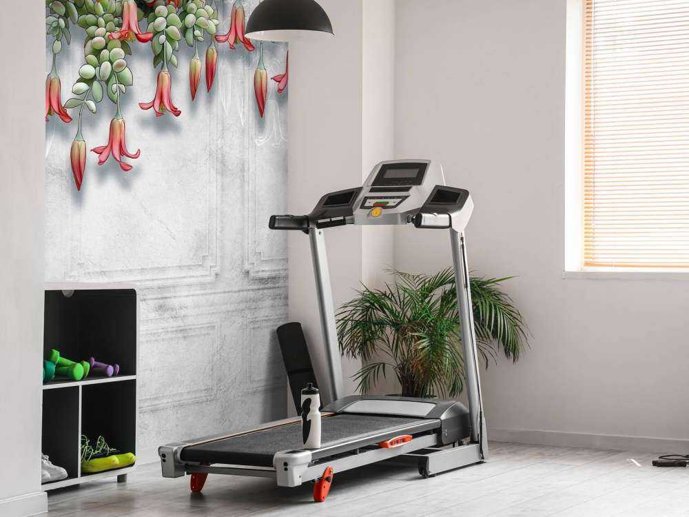 Eksotiske blomster på betong