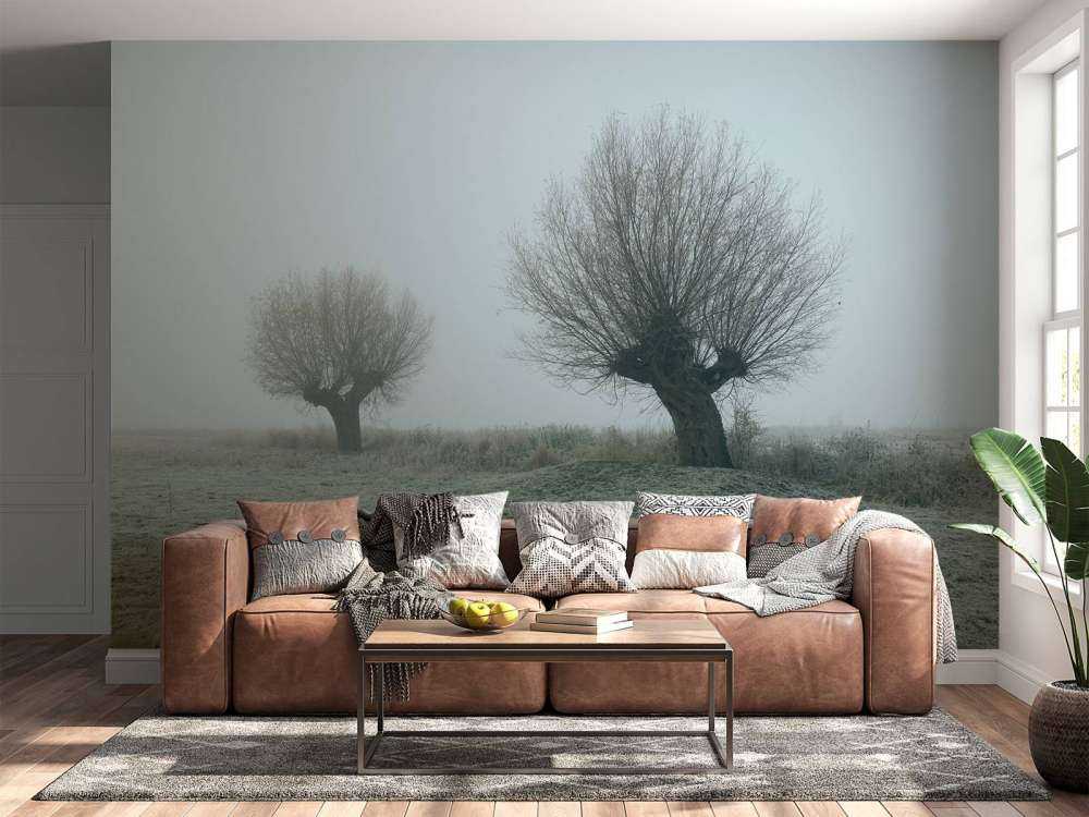 Pollard pil i tåken