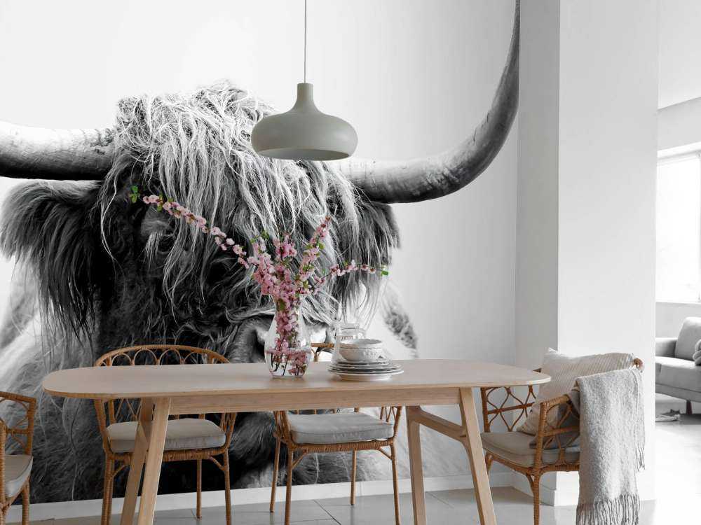 Morsomme skotske høyland