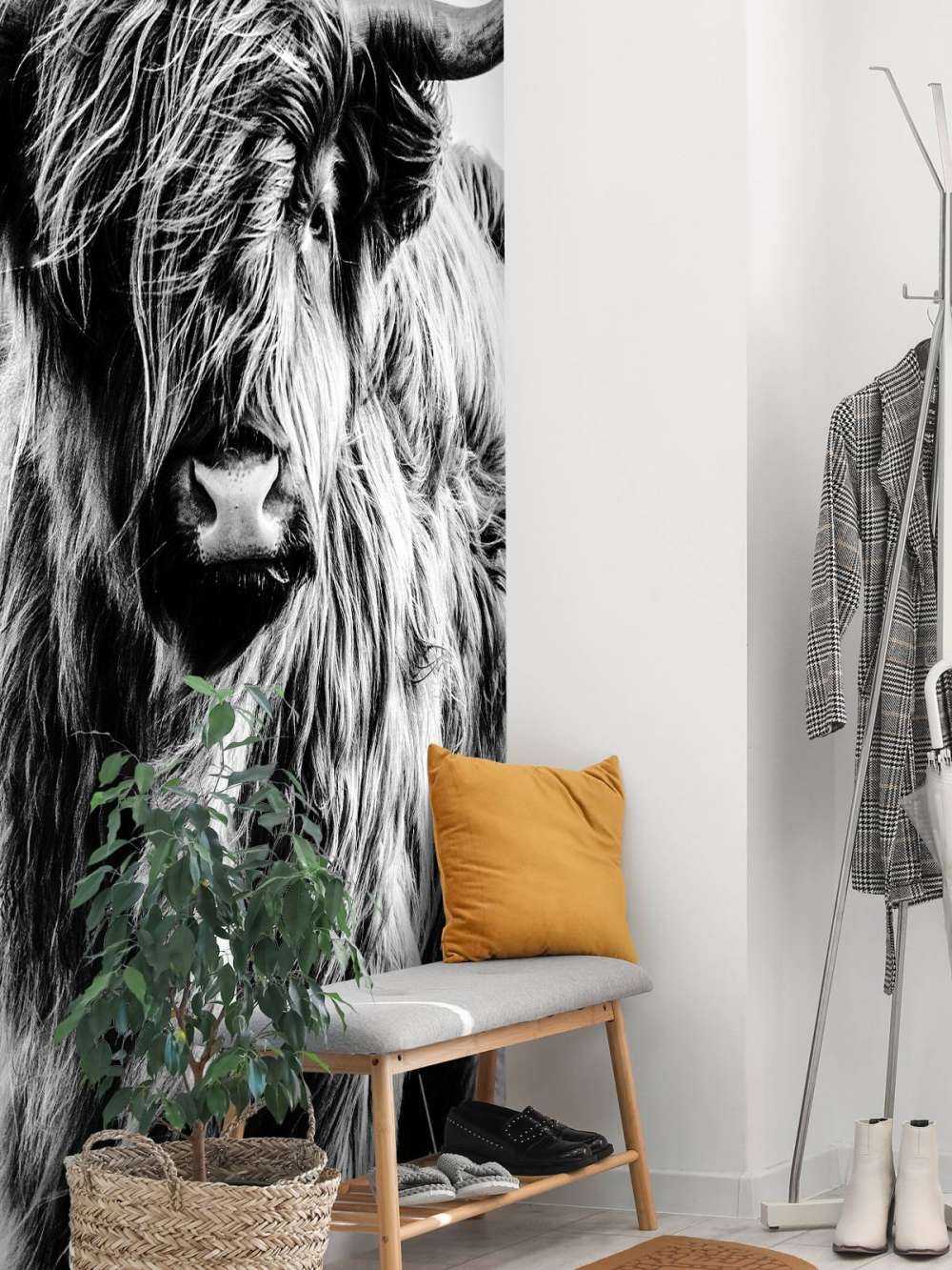 Det skotske høylandet i svart og hvitt