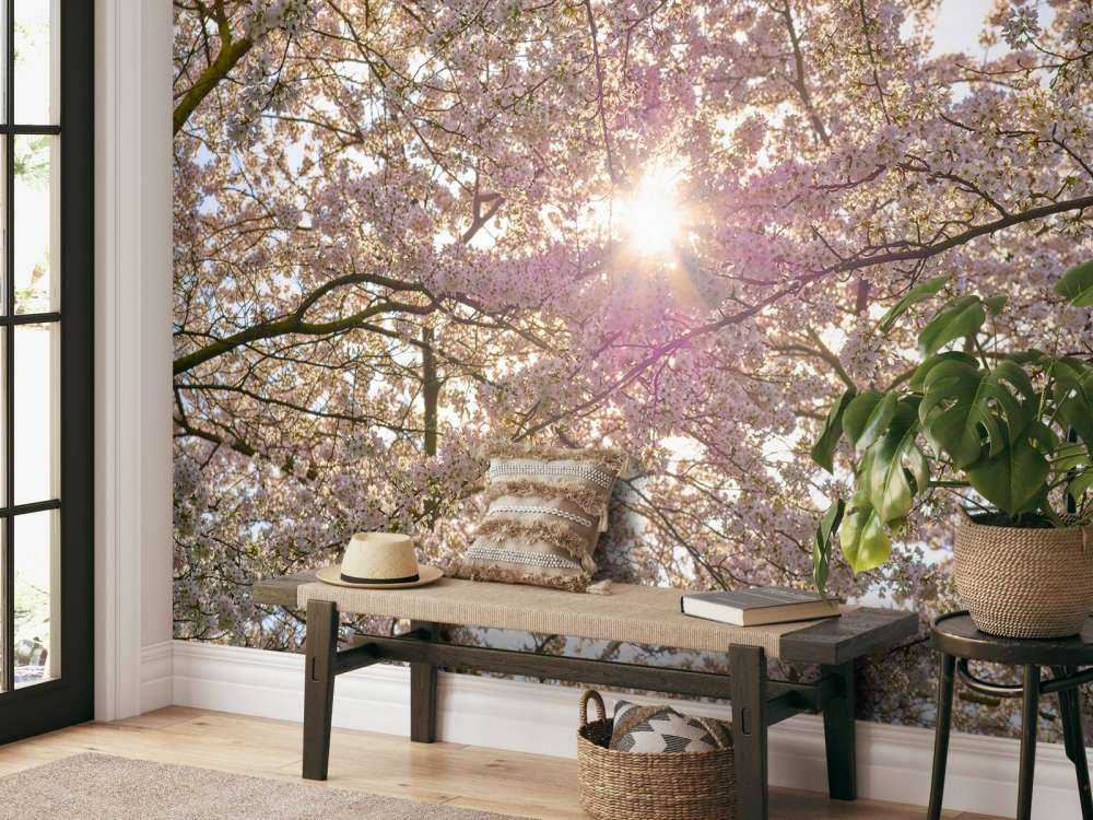 Blomstrer i solen