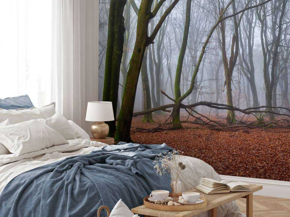 Mystisk tåkete skog