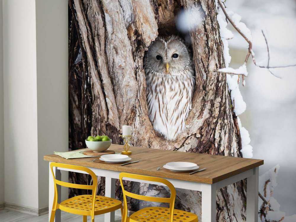 Hvit ugle i et hult tre