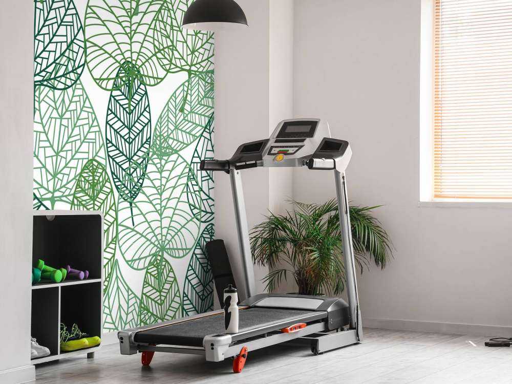 Gjennomsiktige grønne blader