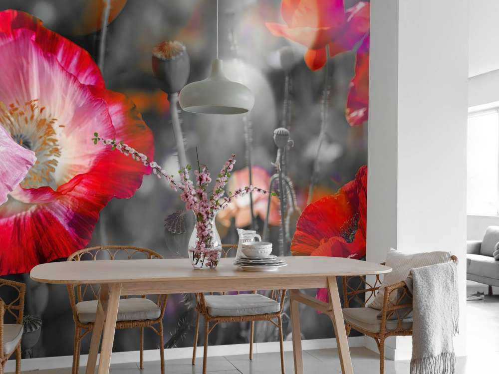 Valmuer i svart, hvitt, rødt