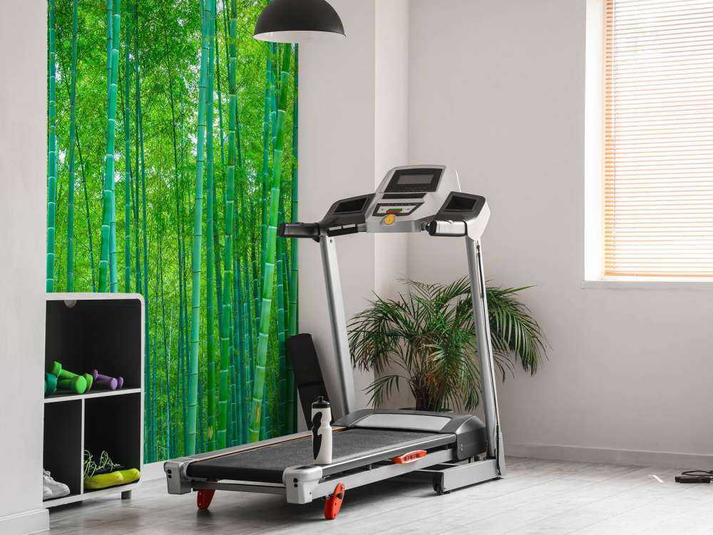 En grønn bambusskog