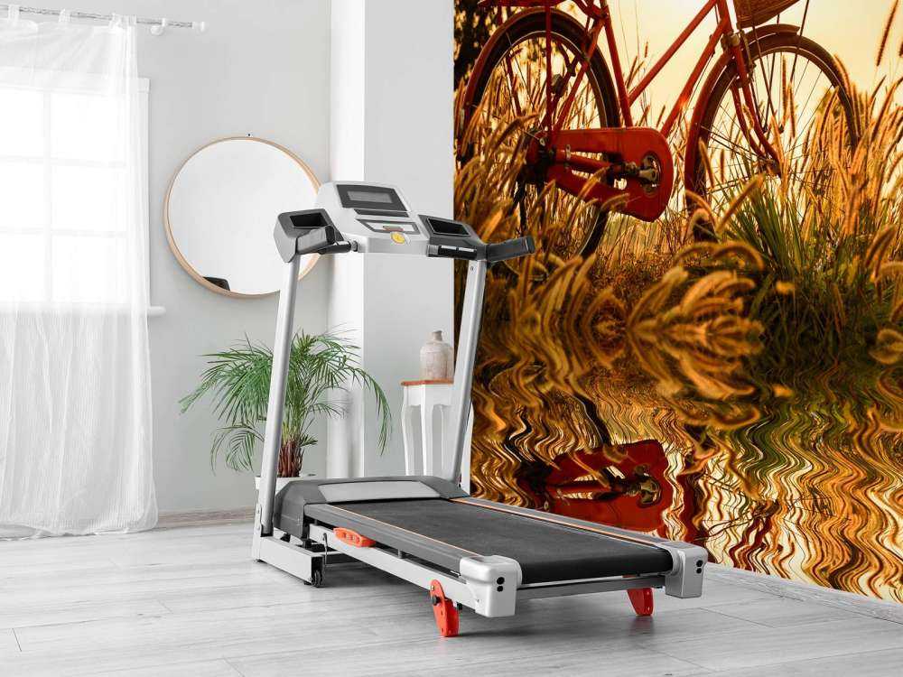 Cykel i solnedgången