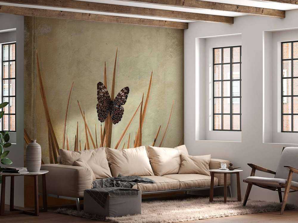 Fjäril vid gammal vägg