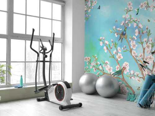 Sakura Serenad