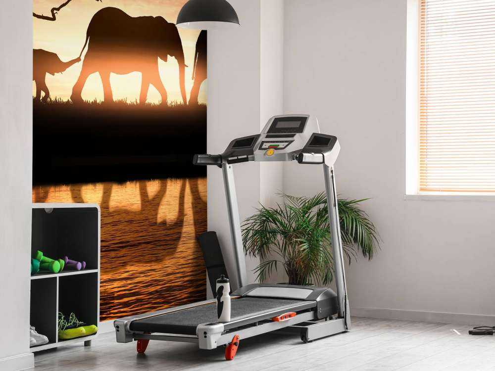 Elefanter i savannen