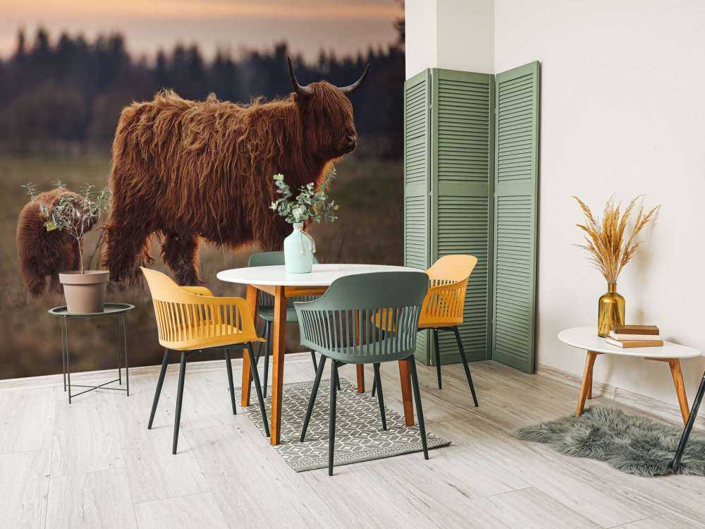 Skotsk hoglandare i ängen