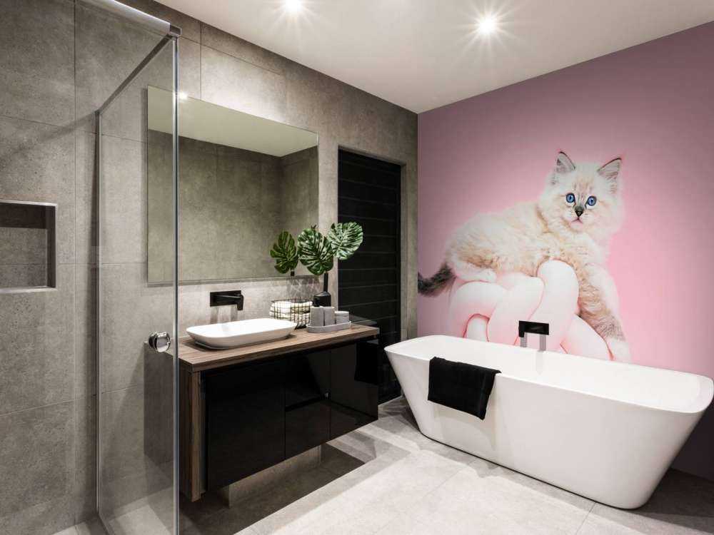 Vit katt på rosa bakgrund