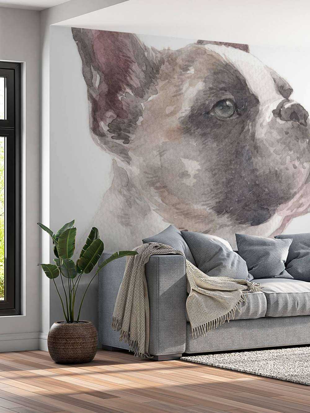 Akvarell fransk bulldog