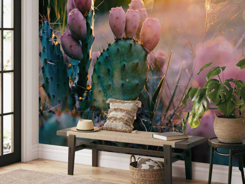 Kaktus med blommor