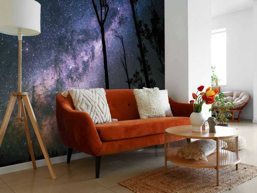 Stjärnor mellan träden