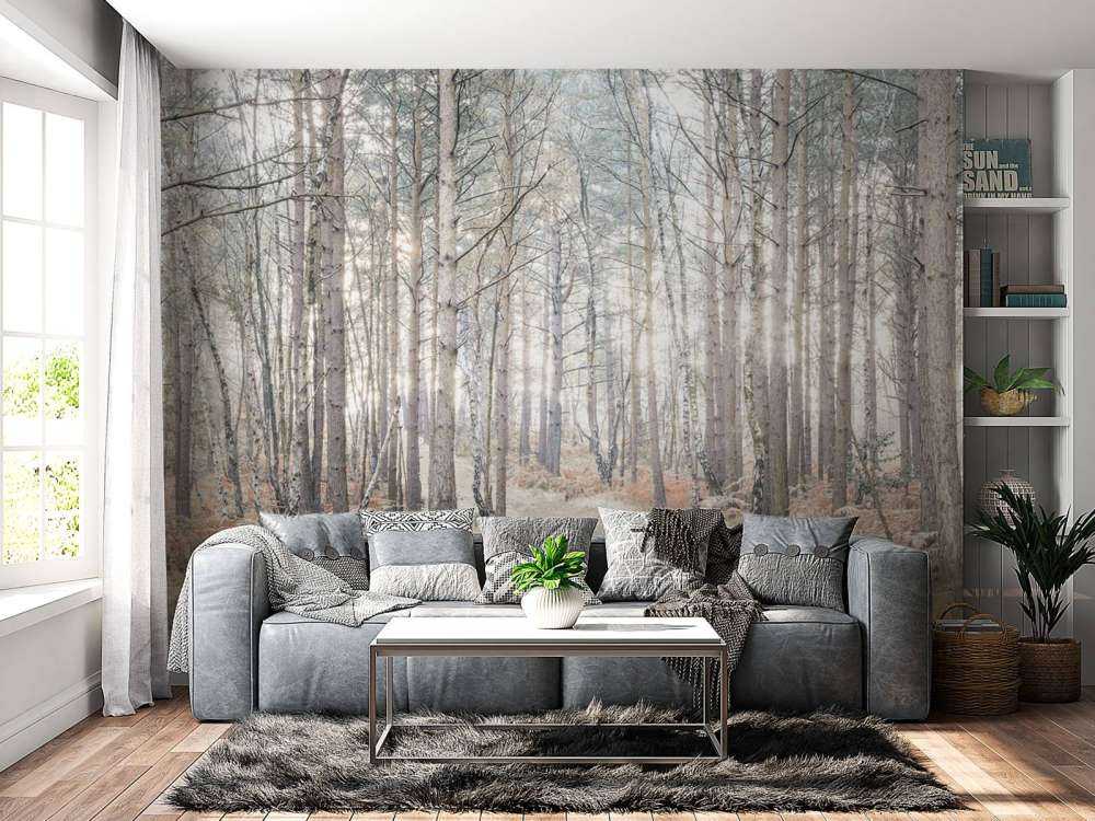 Sandväg genom skogen