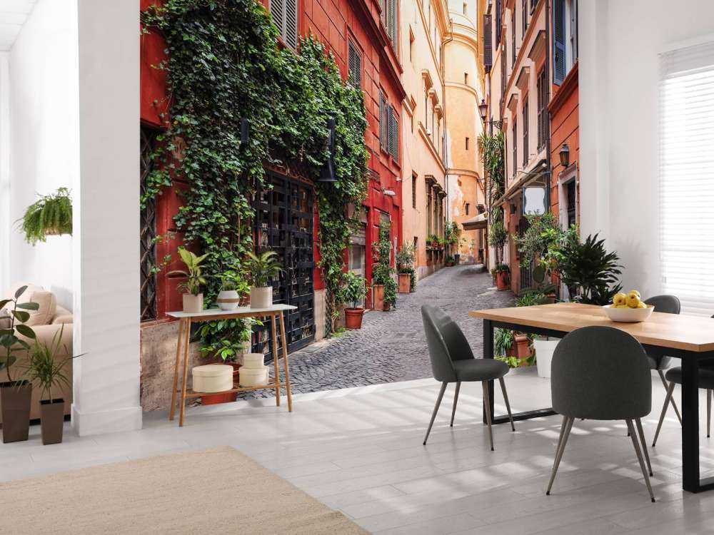 Gammal medeltida gata