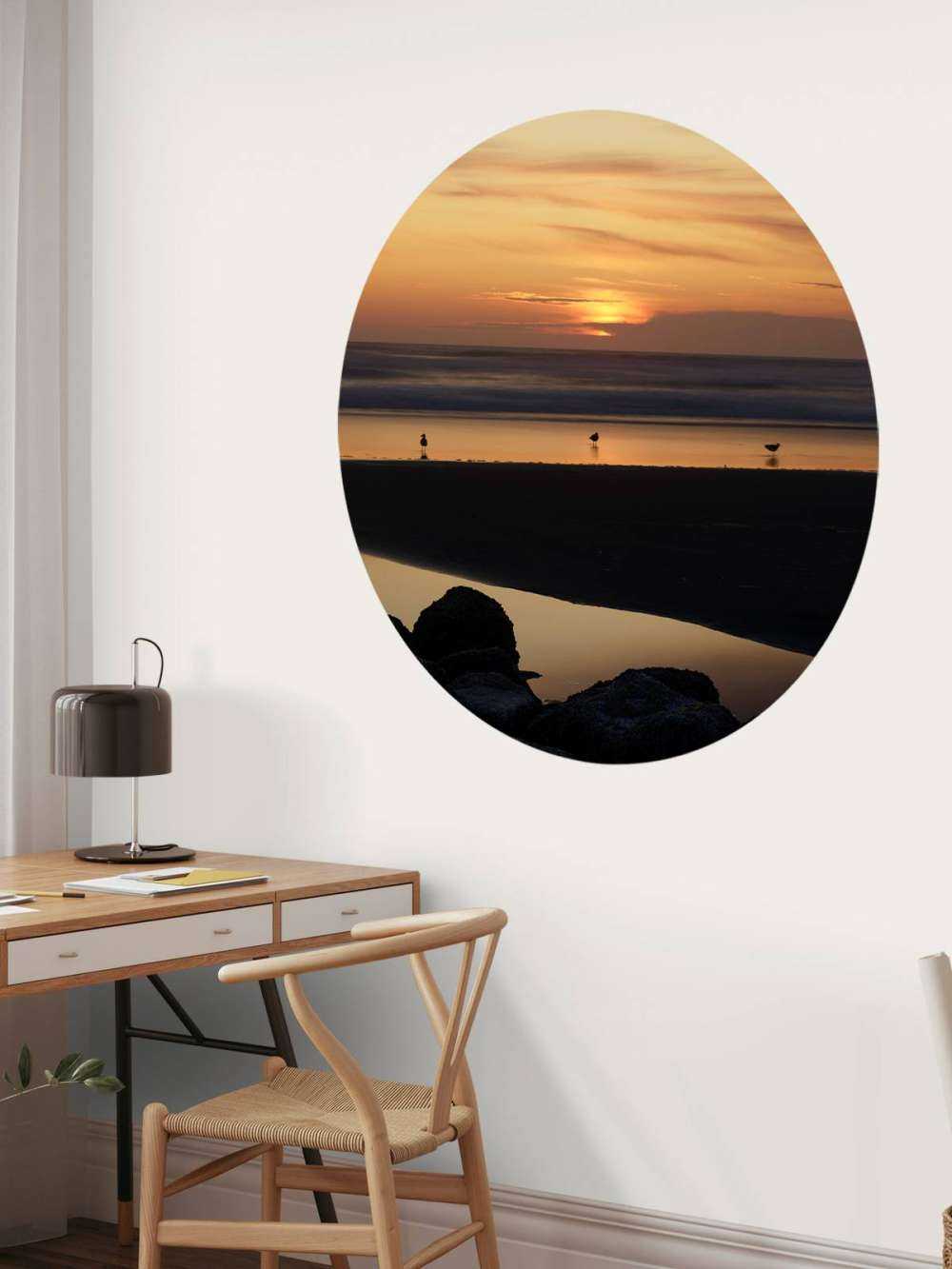 Fåglar vid solnedgången