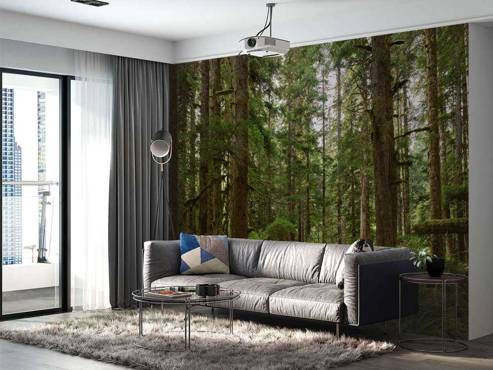 Vild skog