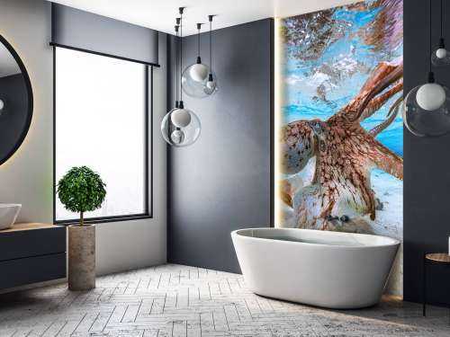 Dancing Octopus