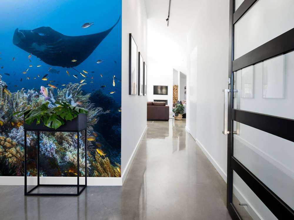 Manta reef on the reef