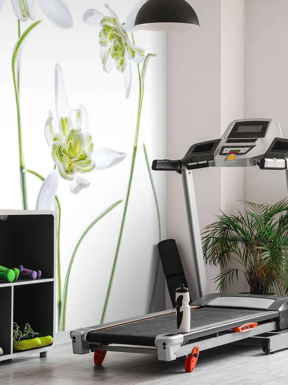 Galanthus Flore Pleno