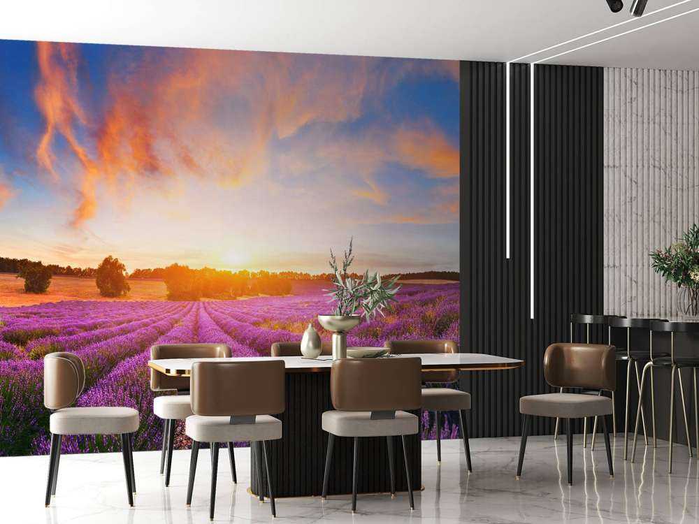 Vackert lavendel fält