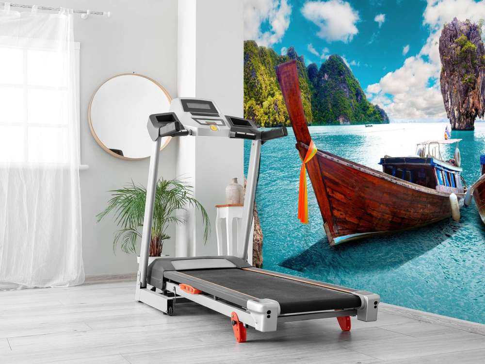 skog och öar i Thailand