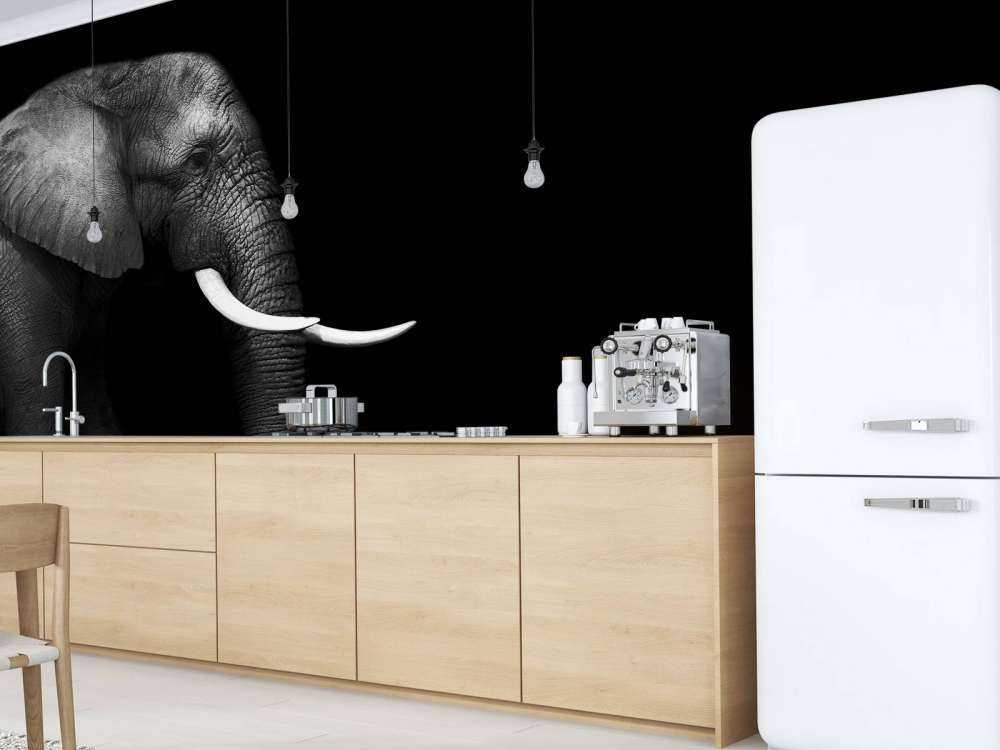 Elefant på gräs
