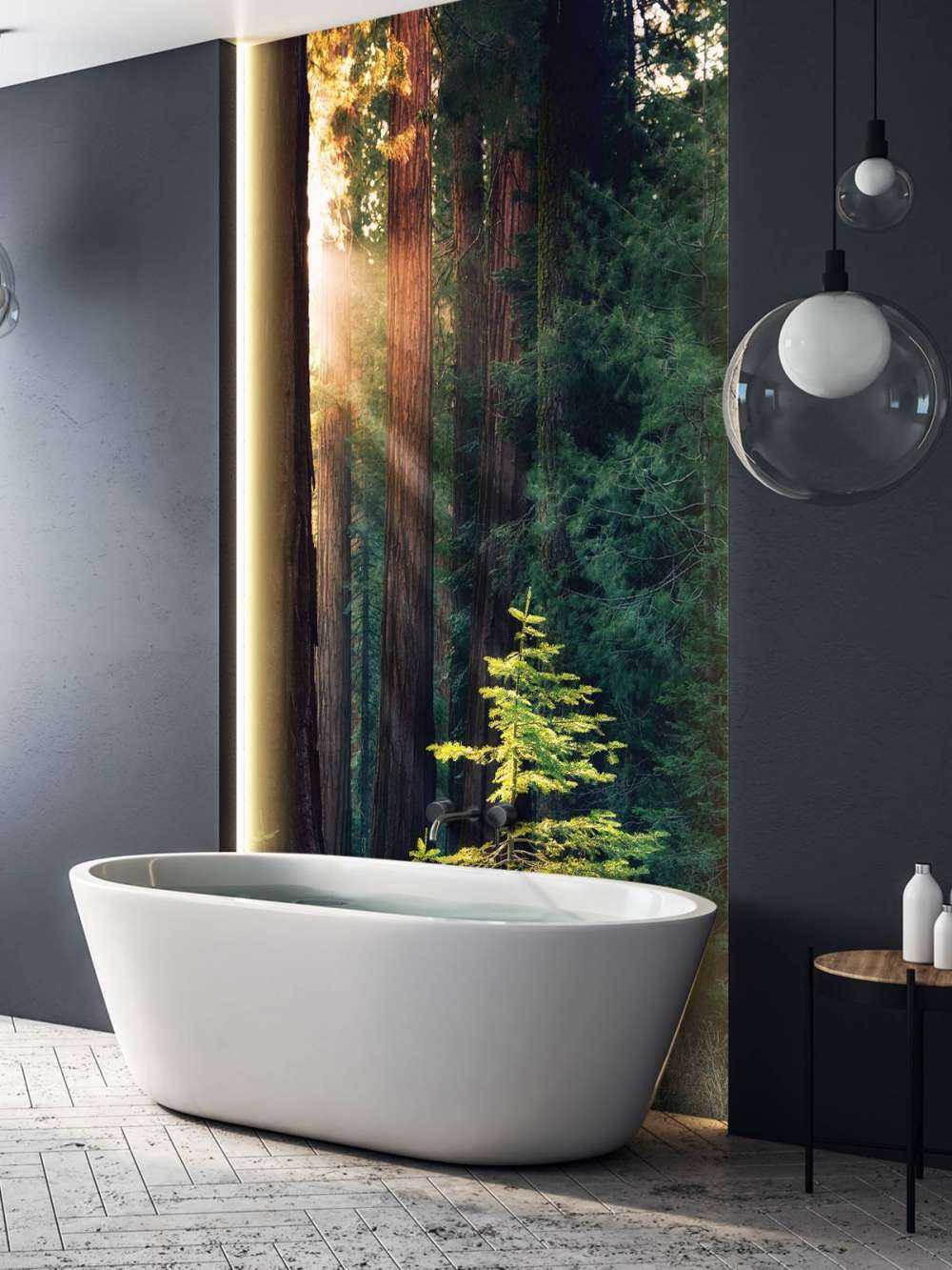 Solljus mellan mahognyträden