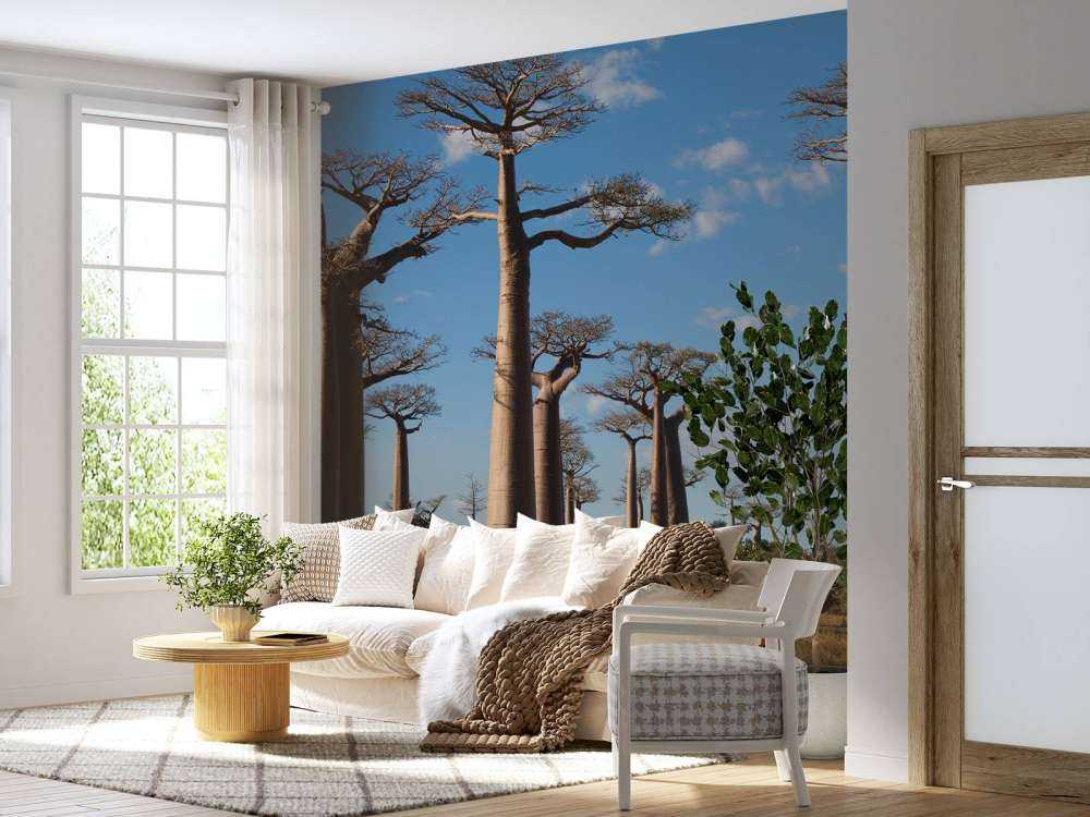 Baobab träd