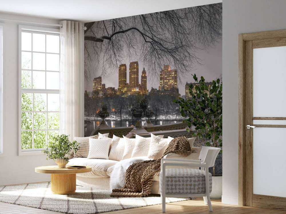 Central park och Manhattan