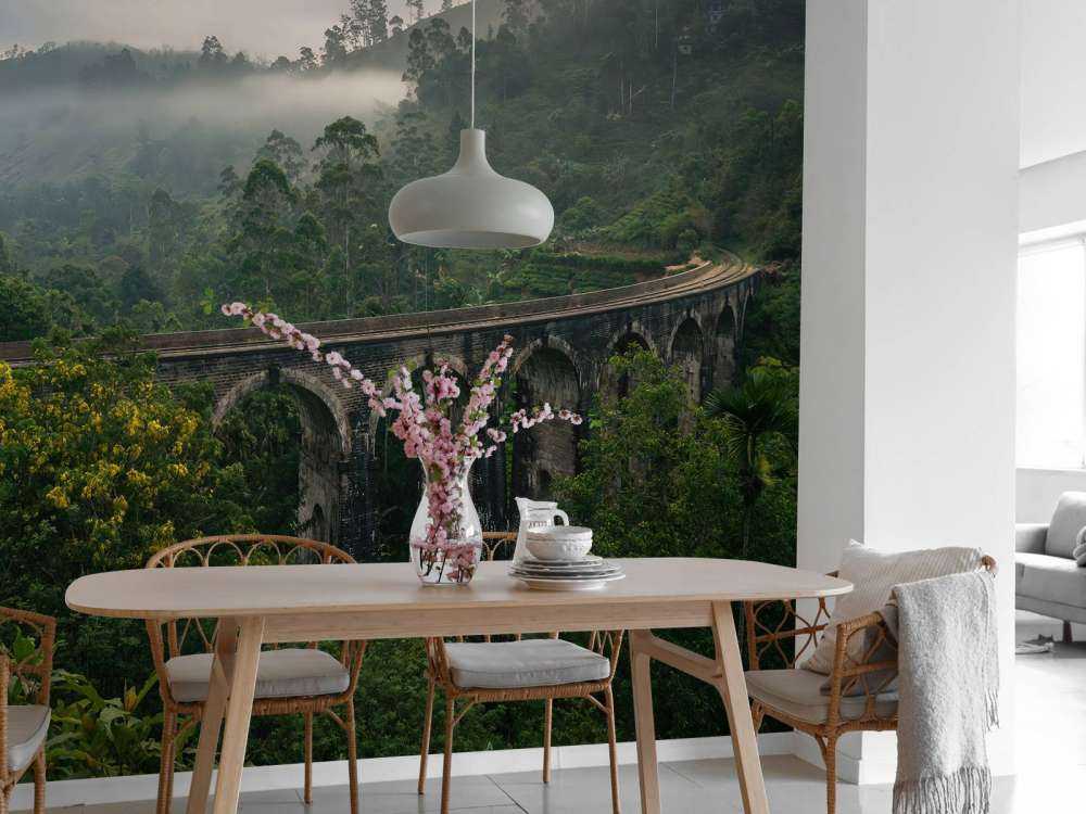 Järnvägsbro genom djungeln