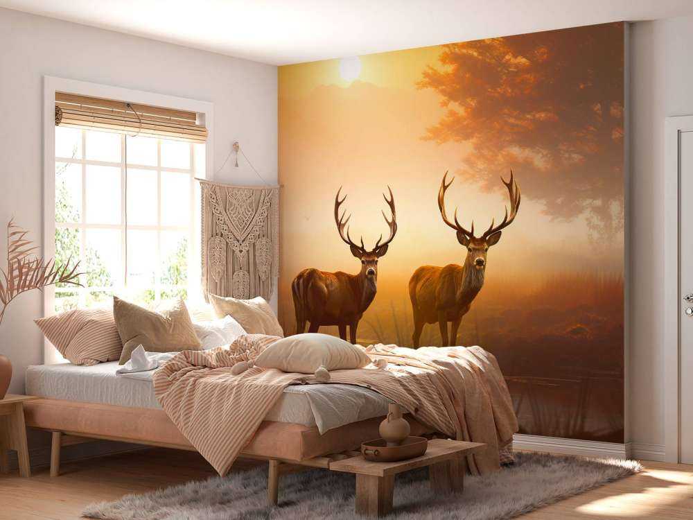 Morgonhärlighet Hjortprakt