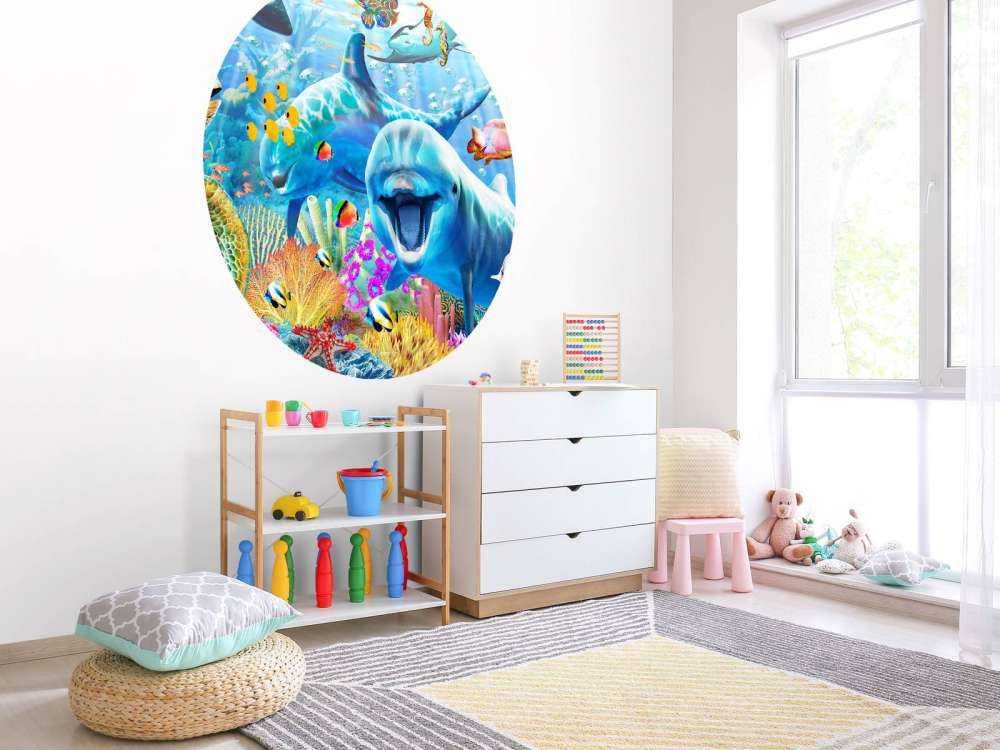 Underwater Fun Panorama