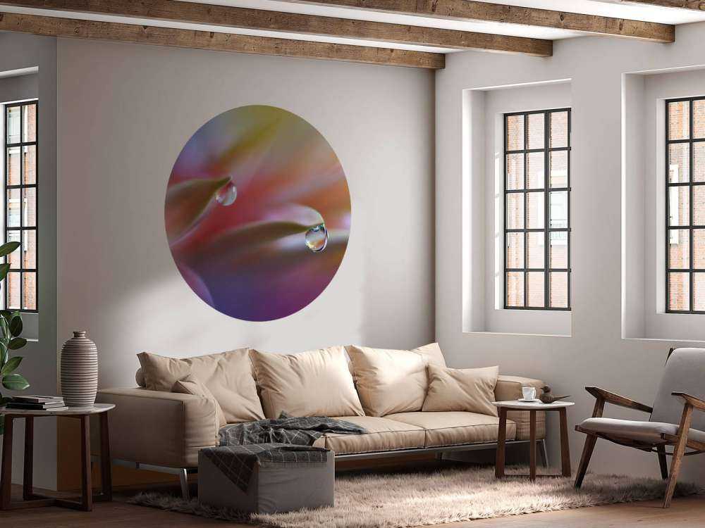 Sound Of Colors...
