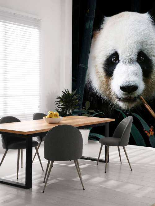 Panda Porträtt
