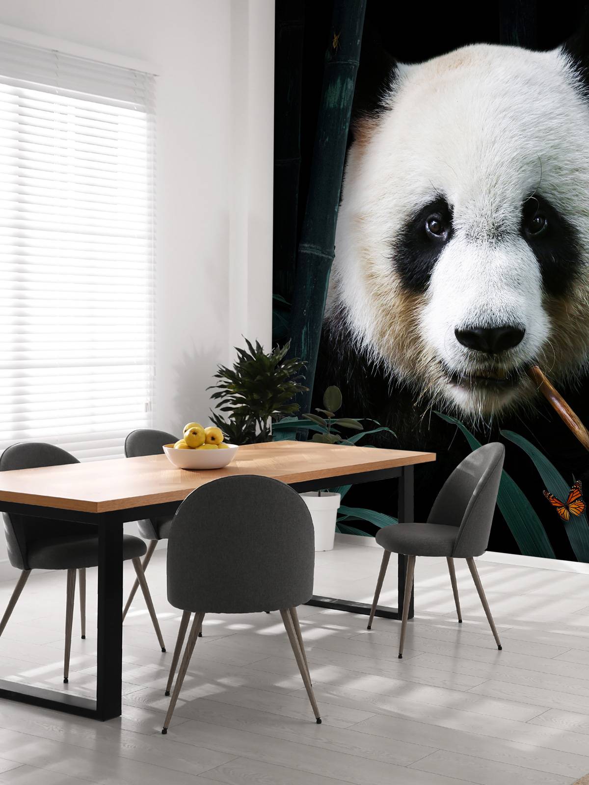 Panda Porträtt