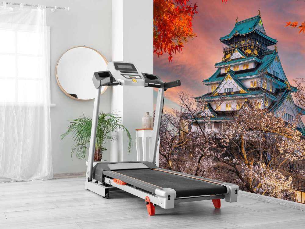 Osaka slott genom träden