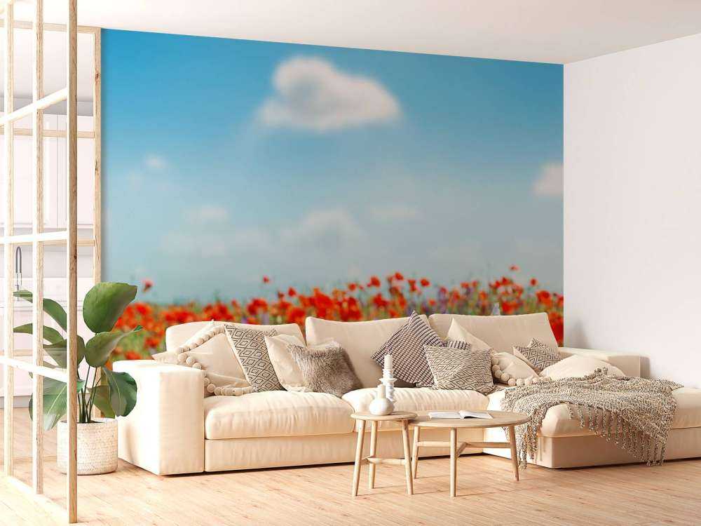 Vallmor och prästkragar