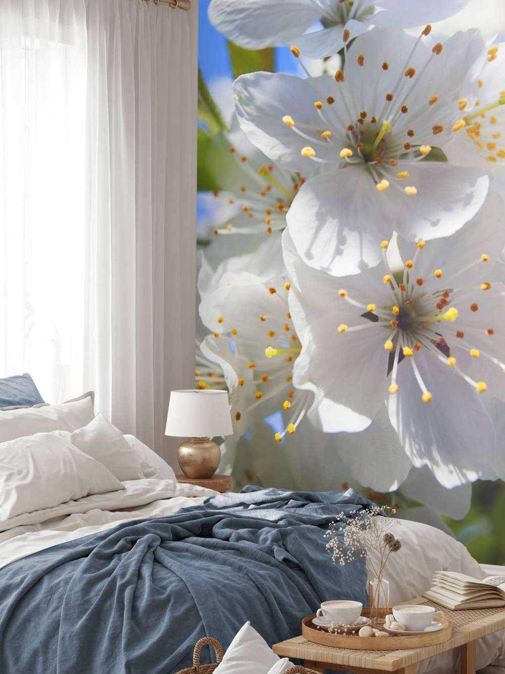 Närbild av vita blommor